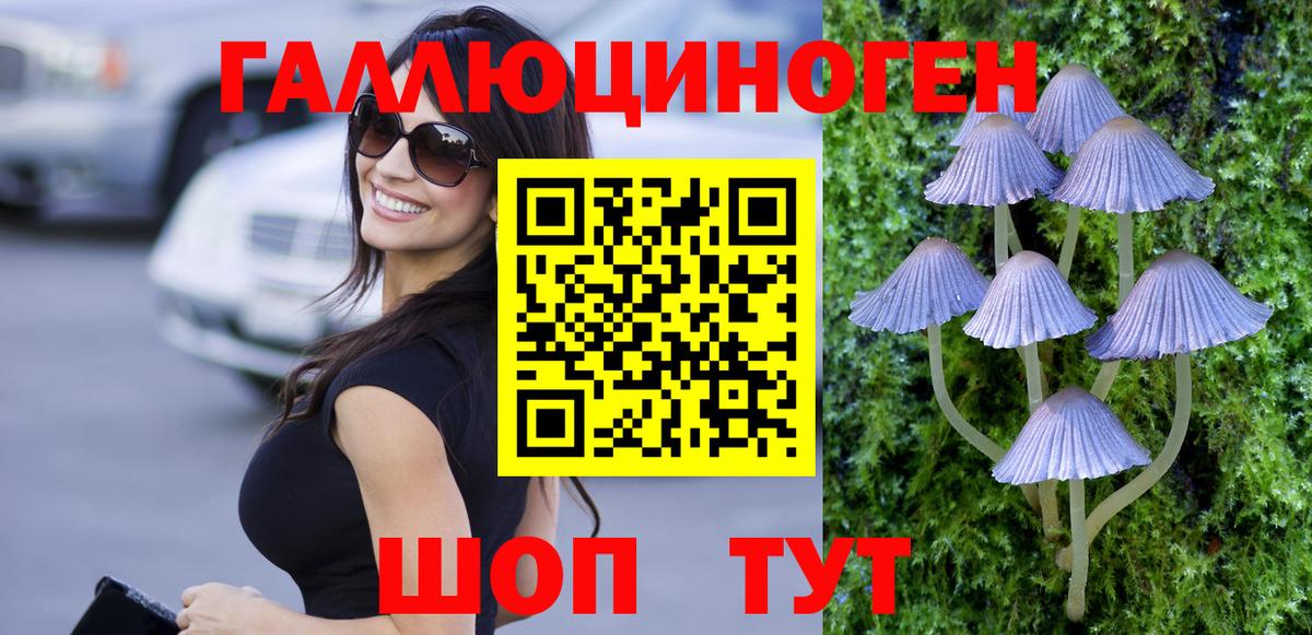 Минусинск  Галлюциногенные грибы Psilocybine cubensis  Вход с VPN 